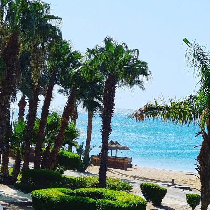 Außenansicht Palm Royale Resort - Soma Bay