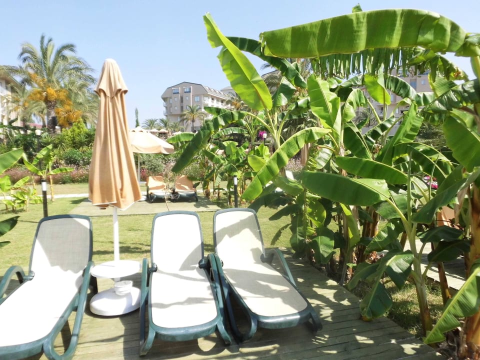 Ruhiges Plätzchen Hotel Novum Garden Side