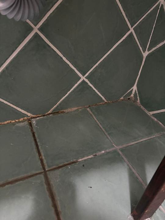 Zimmer Hotel Süral Garden