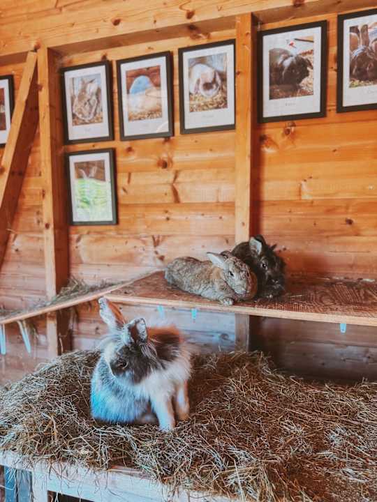 Sport & Freizeit Dilly - Das Nationalpark Resort