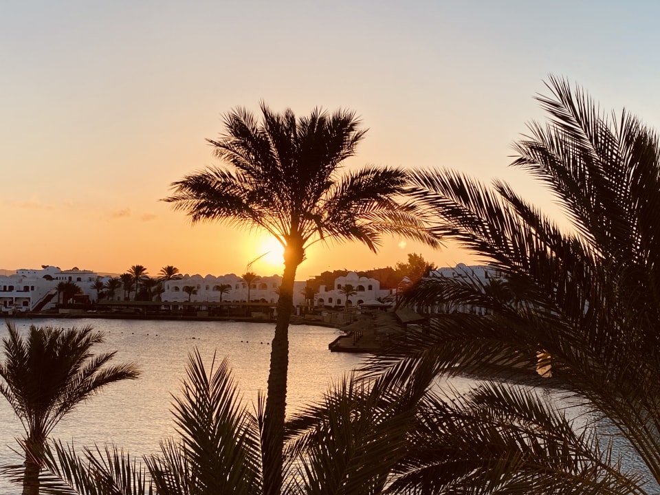 Ausblick Arabia Azur Resort