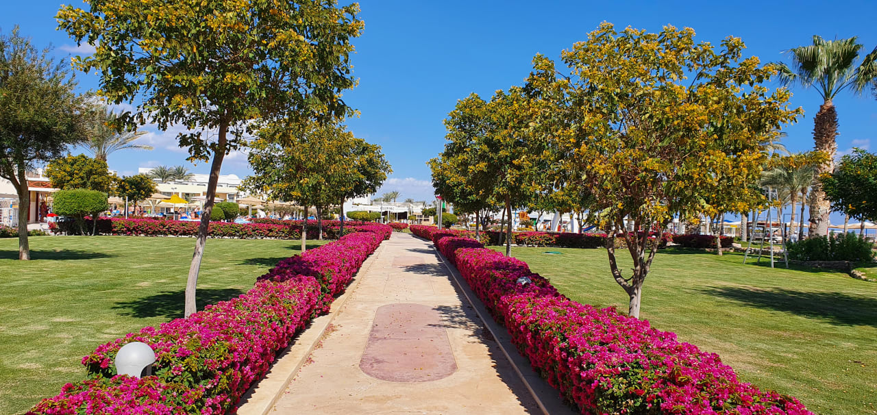 Gartenanlage Pickalbatros Royal Moderna Resort-Sharm El Sheikh