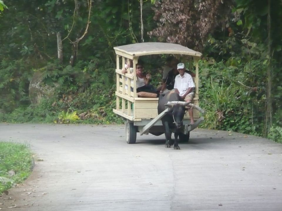 Ochsenkarren La Digue Island Lodge