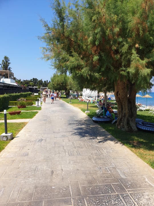 Gartenanlage TUI BLUE Oceanis Beach and Spa Resort