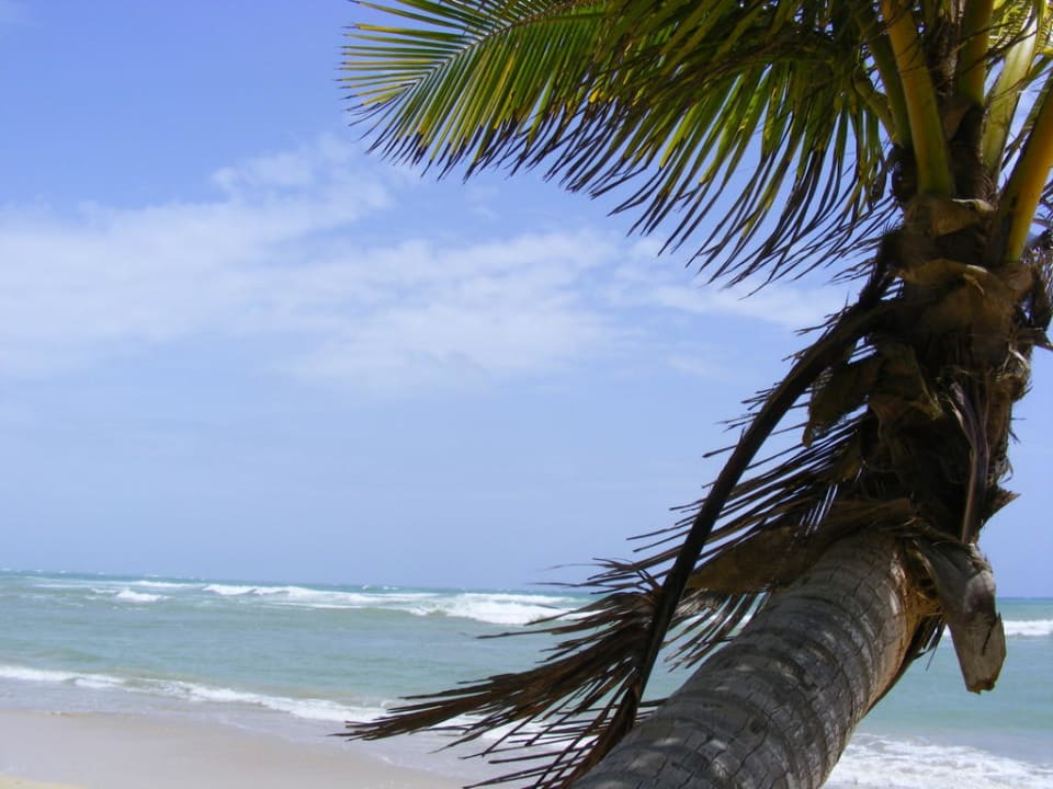 Traumhaft! Grand Sirenis Punta Cana Resort & Aquagames
