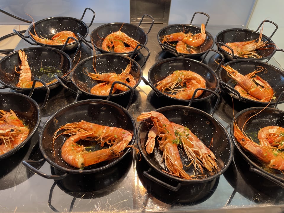 Gastro CM Playa del Moro