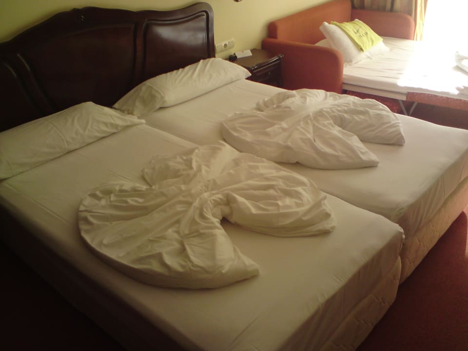 Deko und die gabs jeden Tag und jeden Tag anders GRIFID Aqua Club Bolero