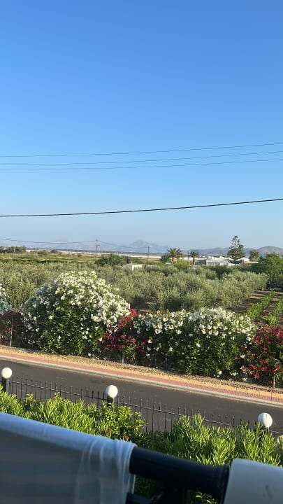 Ausblick Ilios K Village Resort