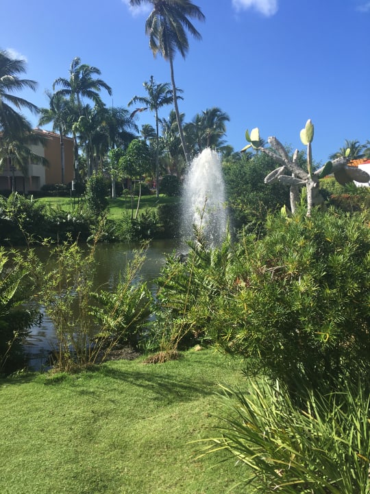 Gartenanlage Hotel Viva Dominicus Palace by Wyndham-All Inclusive Resort