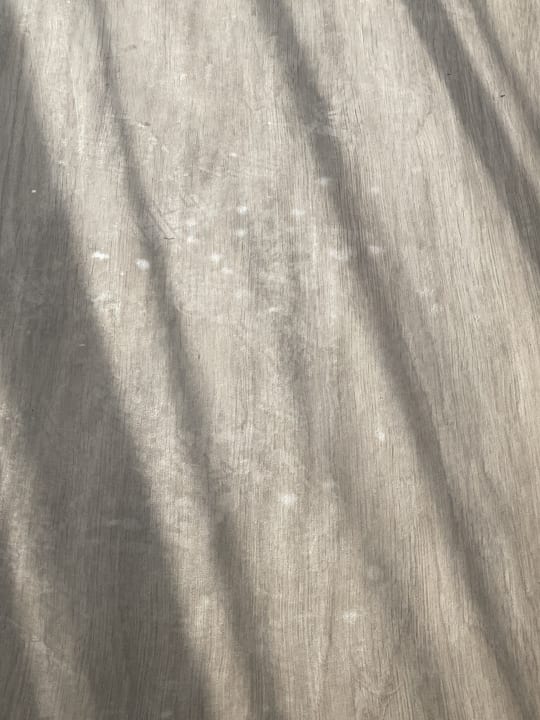 Zimmer Hampton by Hilton Marjan Island