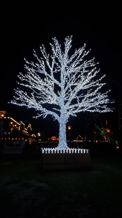 Sonstiges Freizeit- & Ferienpark Slagharen