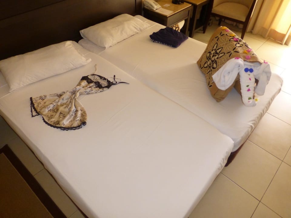 Elefant Jaz Dar EL Madina