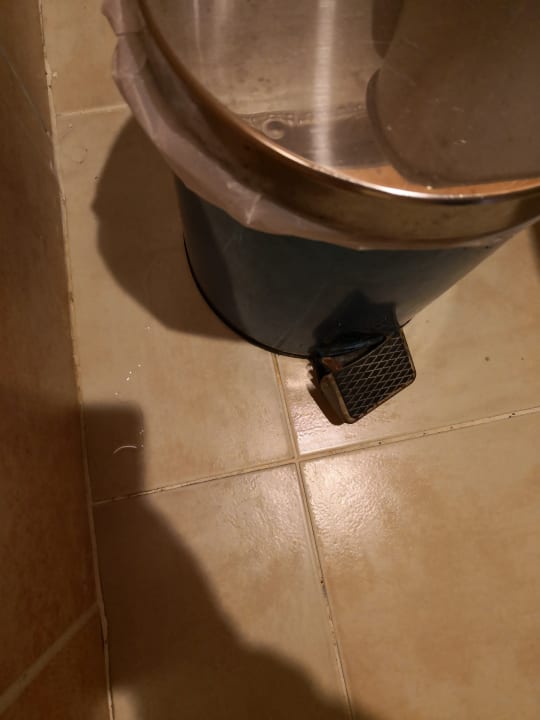 Zimmer Beach Albatros Resort