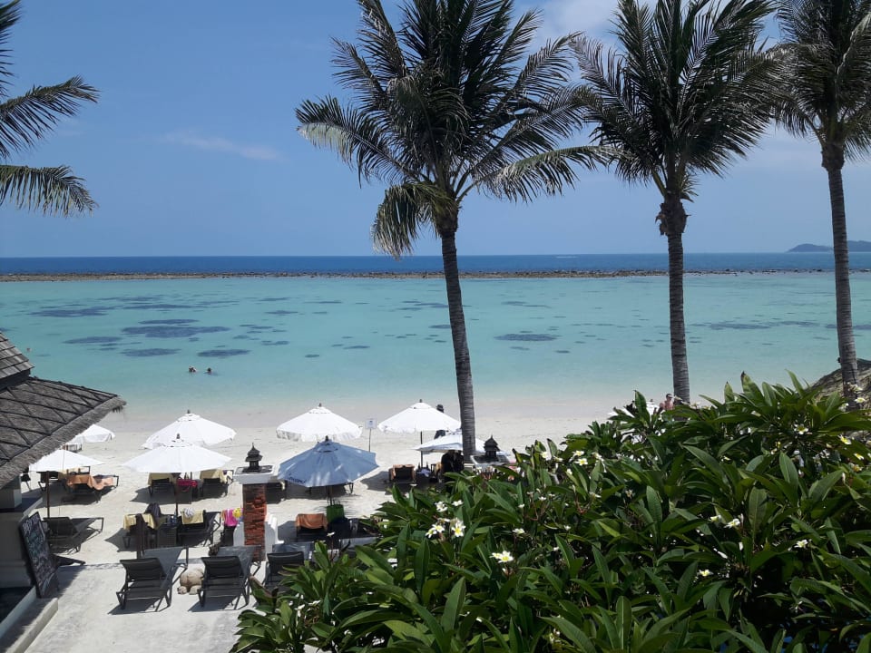 Beach and sea Dara Samui Beach Resort
