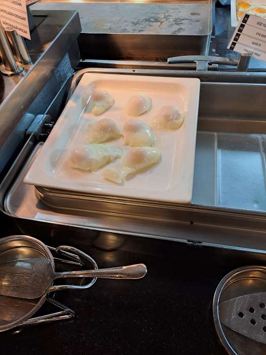 Gastro Paloma Oceana