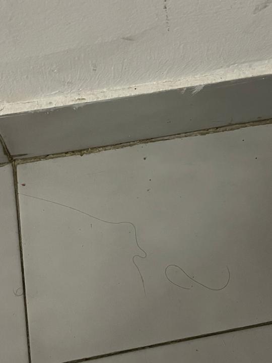 Zimmer Porto Plazza Hotel