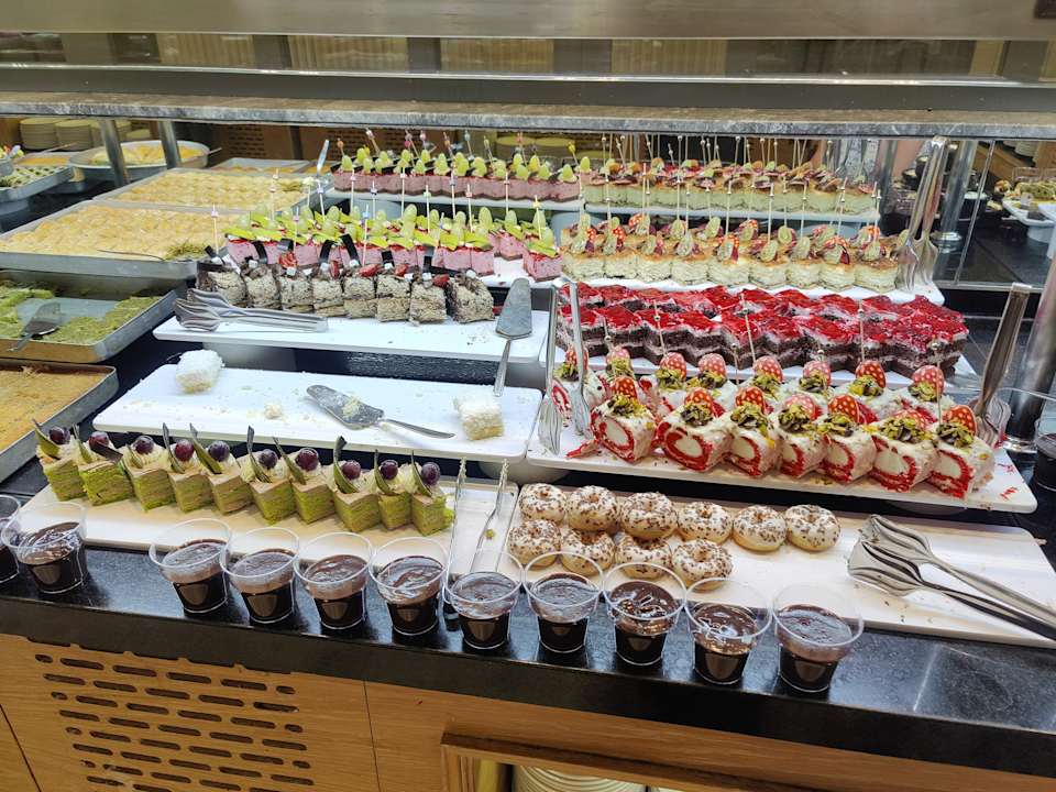 Gastro Seashell Vega