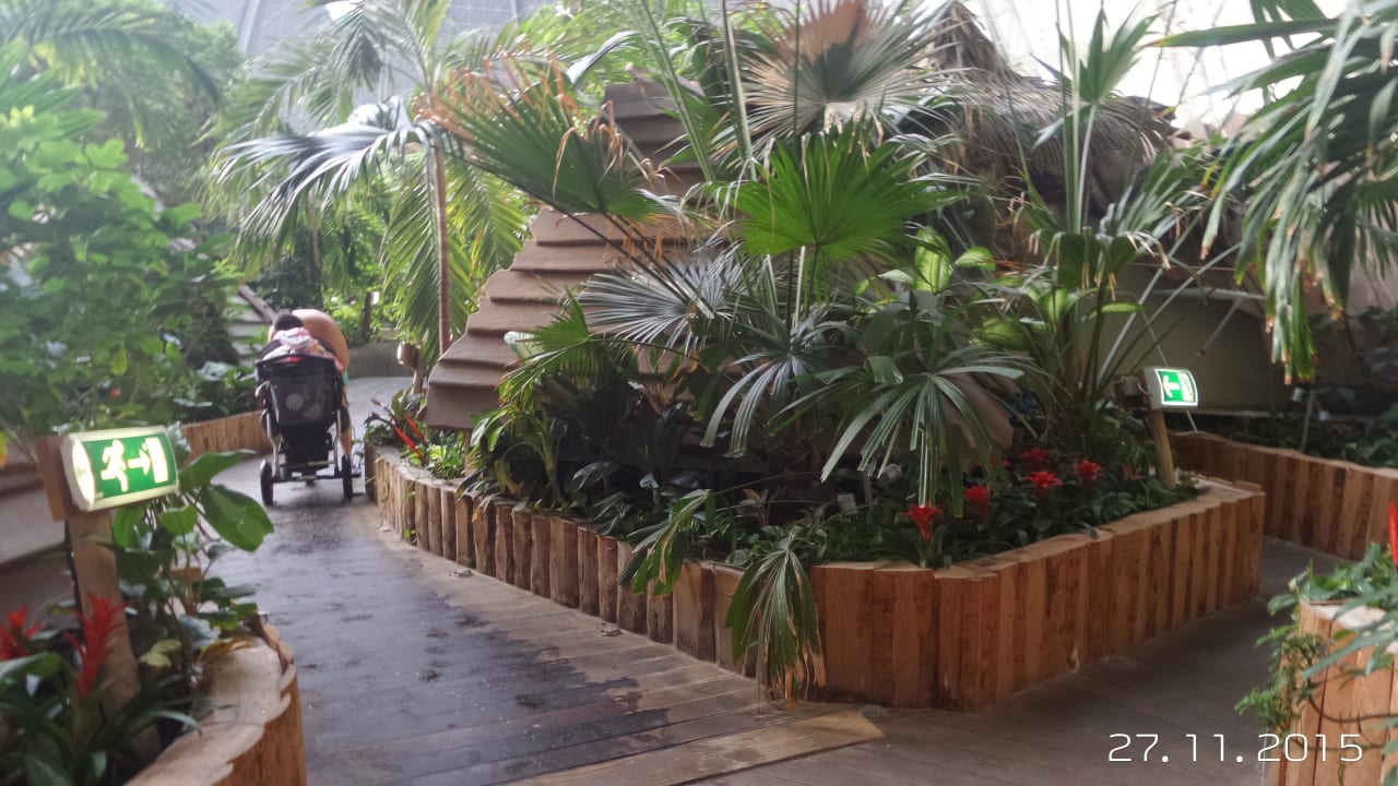 In der Halle Tropical Islands Resort