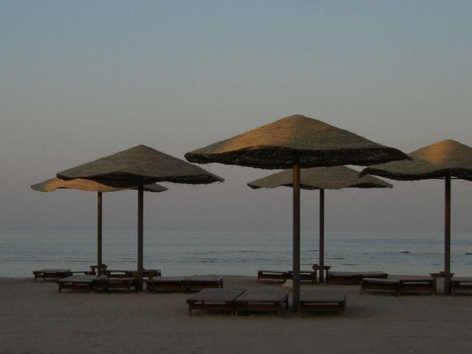 Ausblick Abendessen zum Meer Grand Makadi