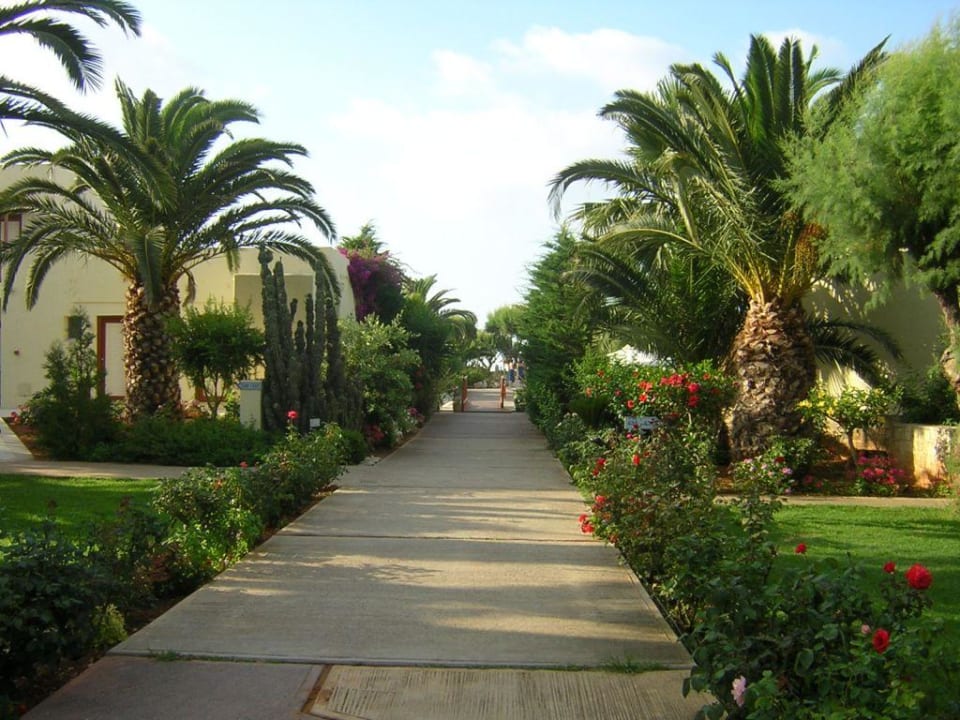 Garten, Weg zum Strand Phãea Cretan Malia