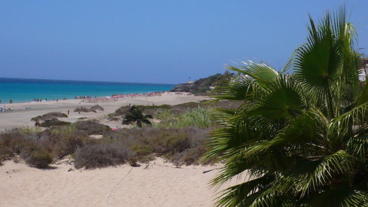 Unser Strand am Hotel SBH Monica Beach Resort