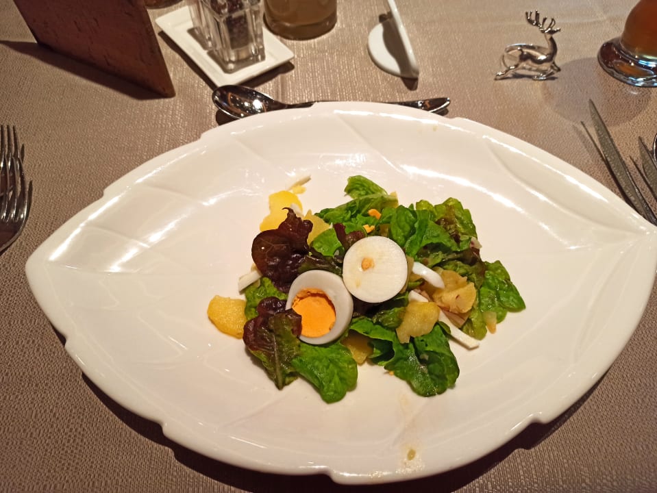 Gastro Hotel Regina