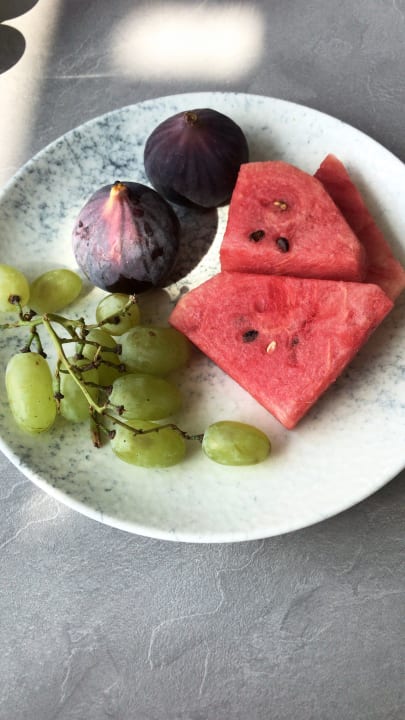 Gastro Paloma Finesse