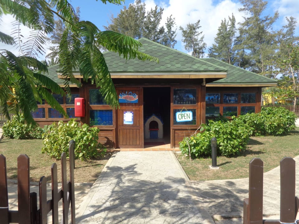 Mini Club Blau varadero - Adults only