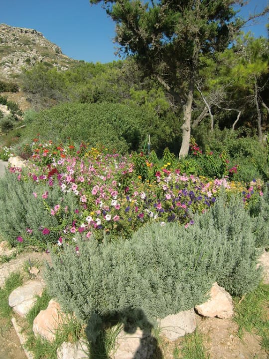 Gartenanlage Hotel Kalithea Mare Palace