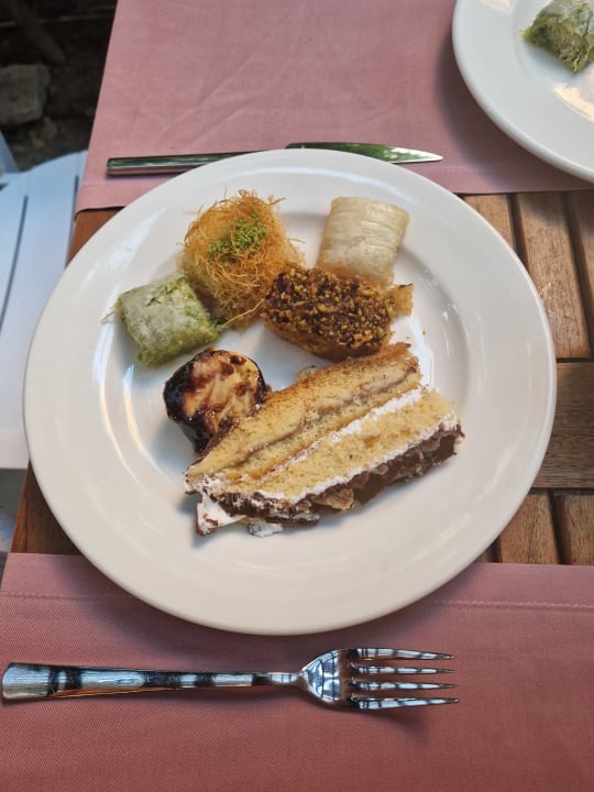 Gastro Well Palace Side