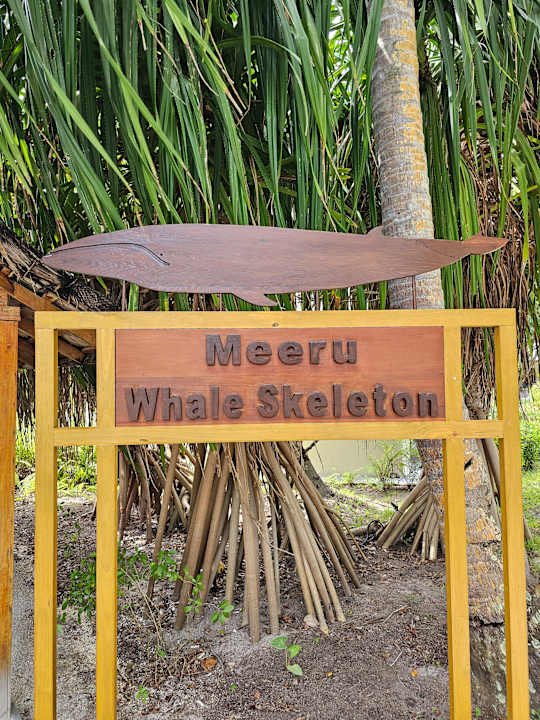 Sport & Freizeit Meeru Maldives Resort Island