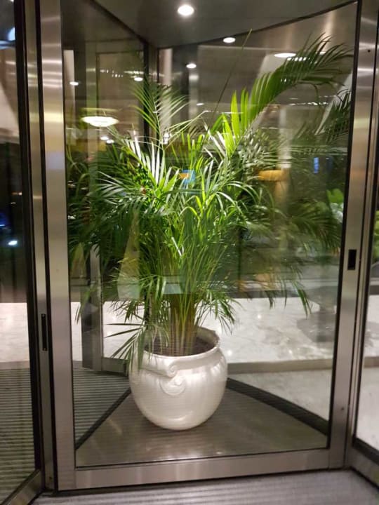 In der Drehtüre GPRO Valparaiso Palace & Spa