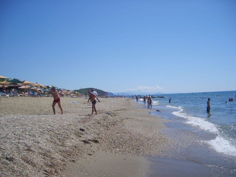 Plaza Telatiye Resort