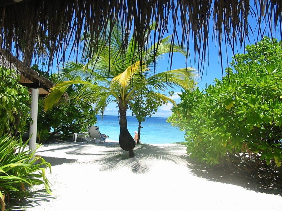 Ausblick vom Bungalow Angaga Island Resort