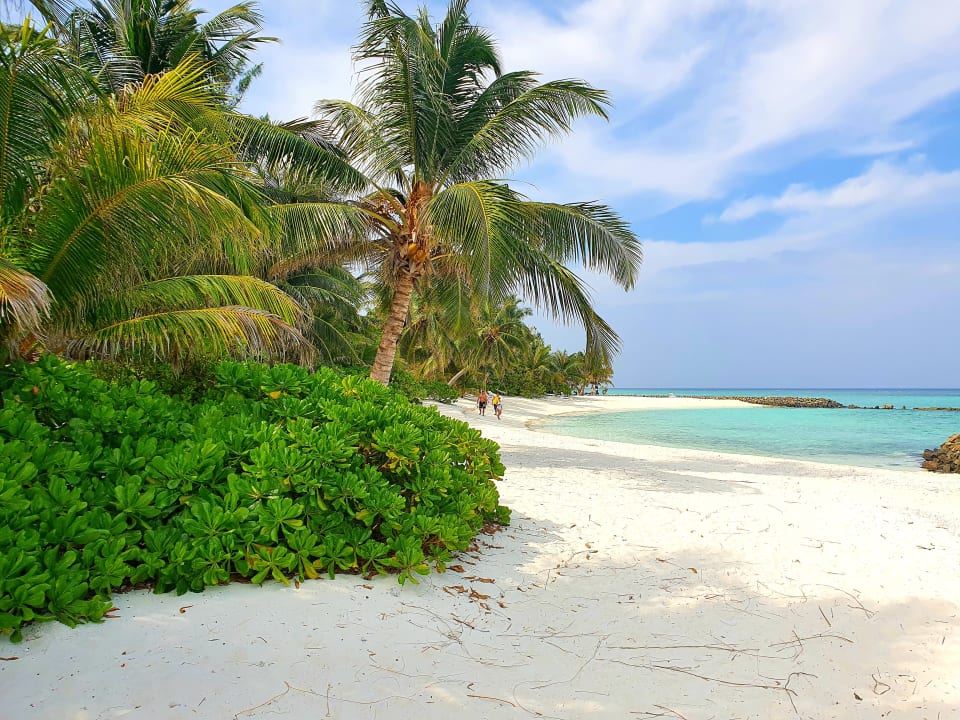 Strand Summer Island Maldives