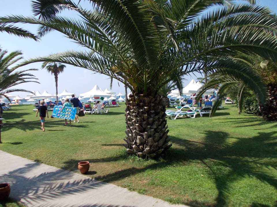 Garten zum Sonnen Turquoise Hotel