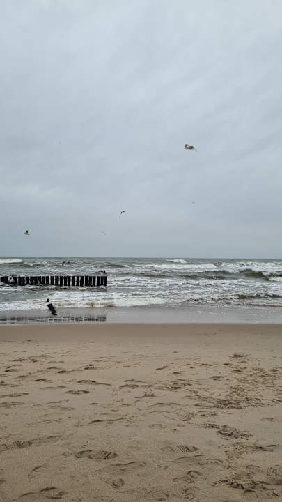 Strand Resort Król Plaza Spa & Wellness