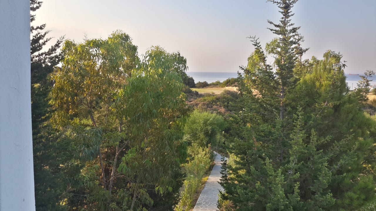 Ausblick Ekaterini Hotel