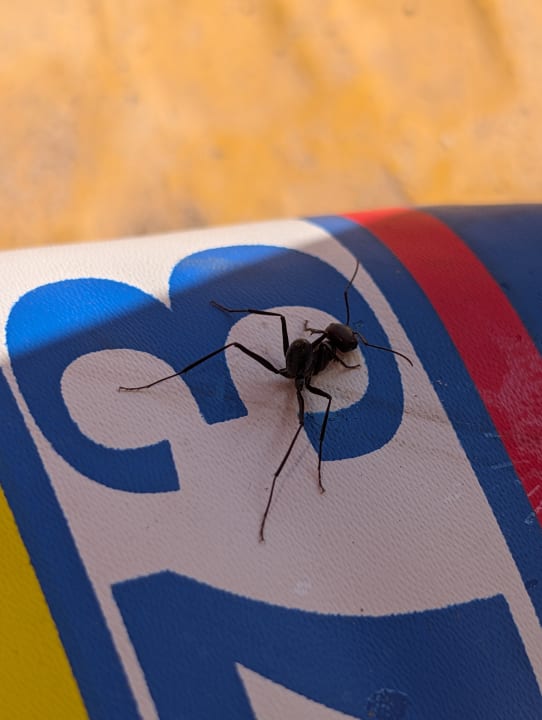 Pool Skanes Serail Aquapark