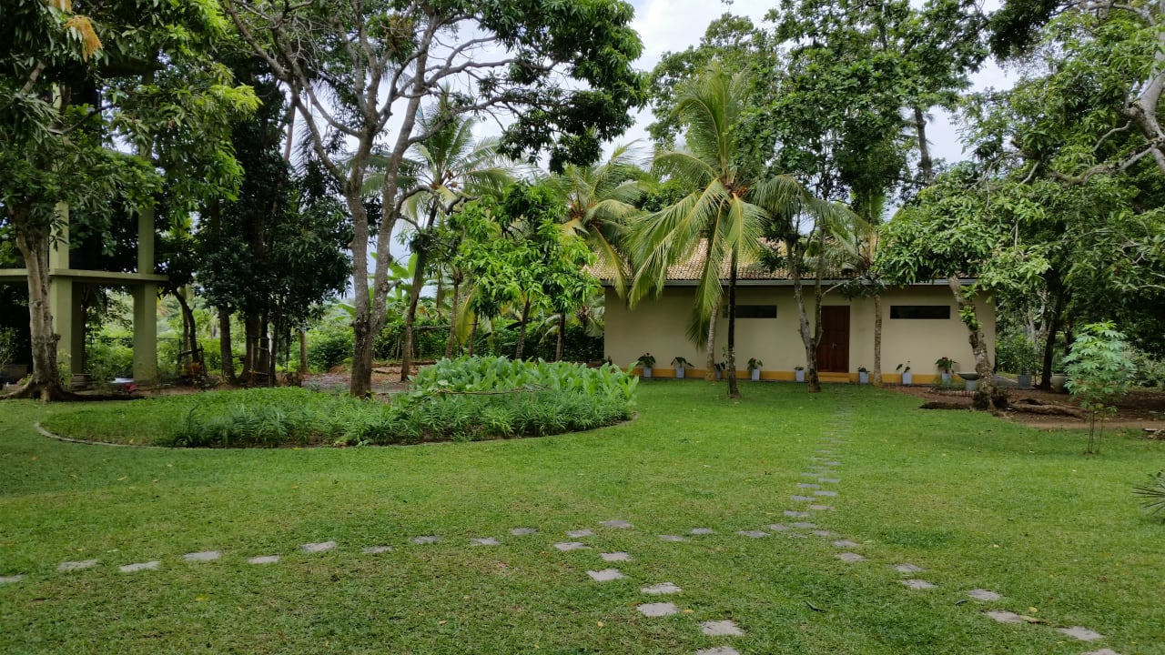 Gartenanlage Brisama Ayurveda Boutique Hotel