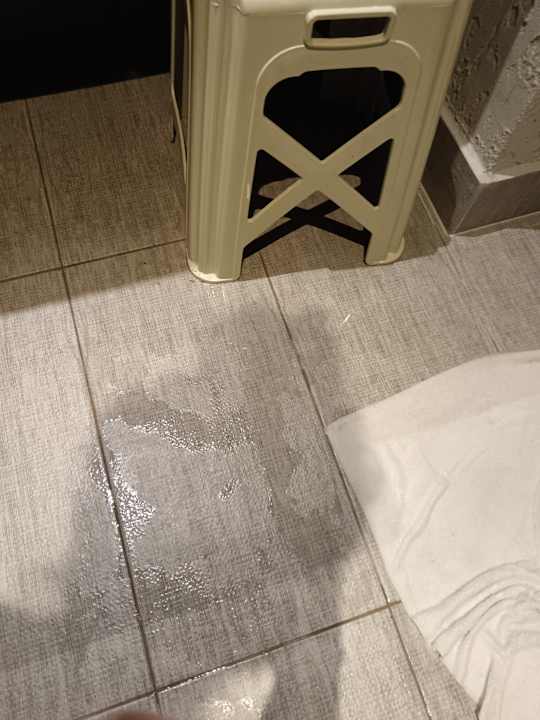 Zimmer Sun City Apartments