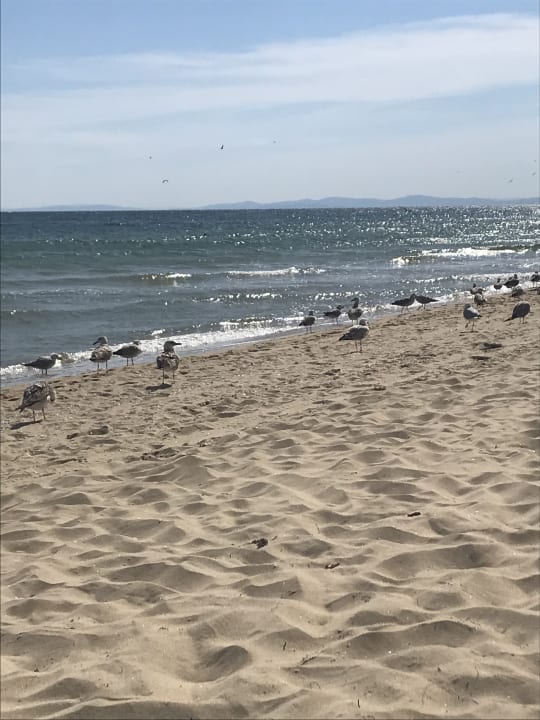 Strand Hotel Bilyana Beach