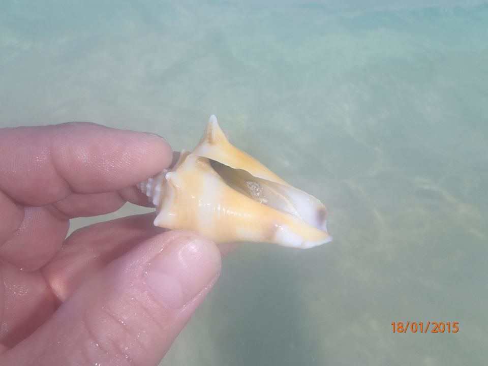 Gefunden Hotel Villa Cuba