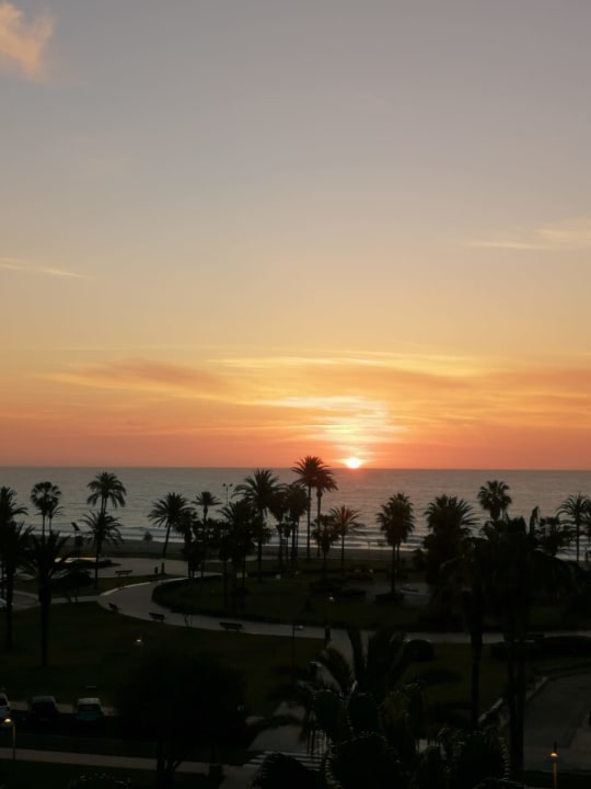 Ausblick Hipotels Cala Millor Park