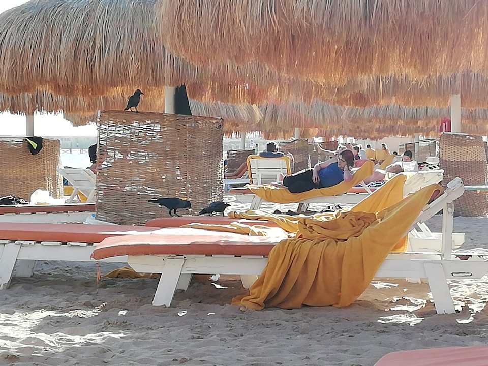 Strand Sentido Caribbean World Soma Bay