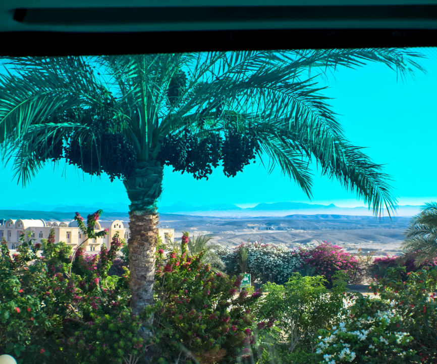 Ausblick Three Corners Equinox Beach Resort