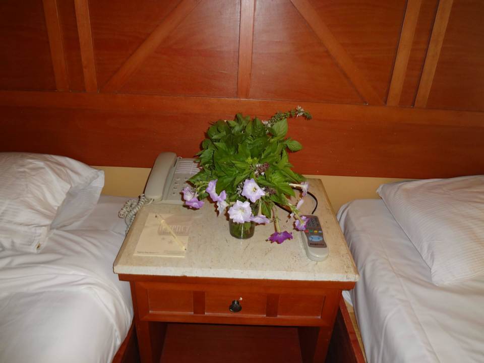 После уборки даже цветы поставили Regency Plaza Aqua Park & Spa