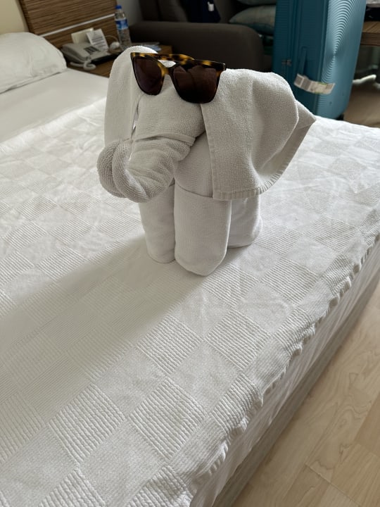 Zimmer Blue Diamond Alya