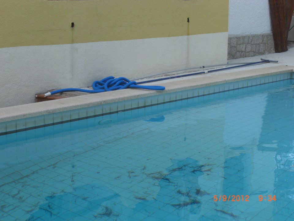 Verschmutzter Pool Hostel Don Carlos