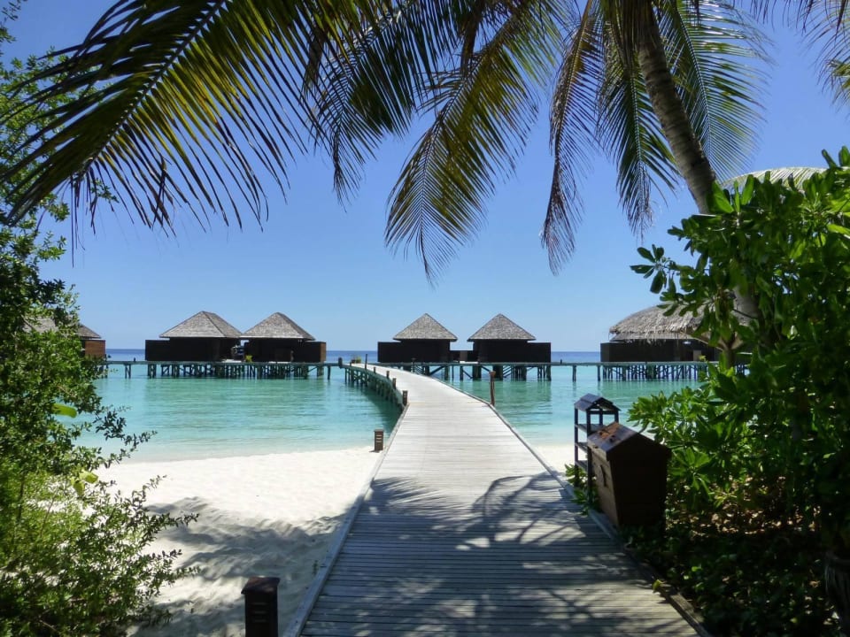 Blick auf die Water Bungalows Veligandu Maldives Resort Island